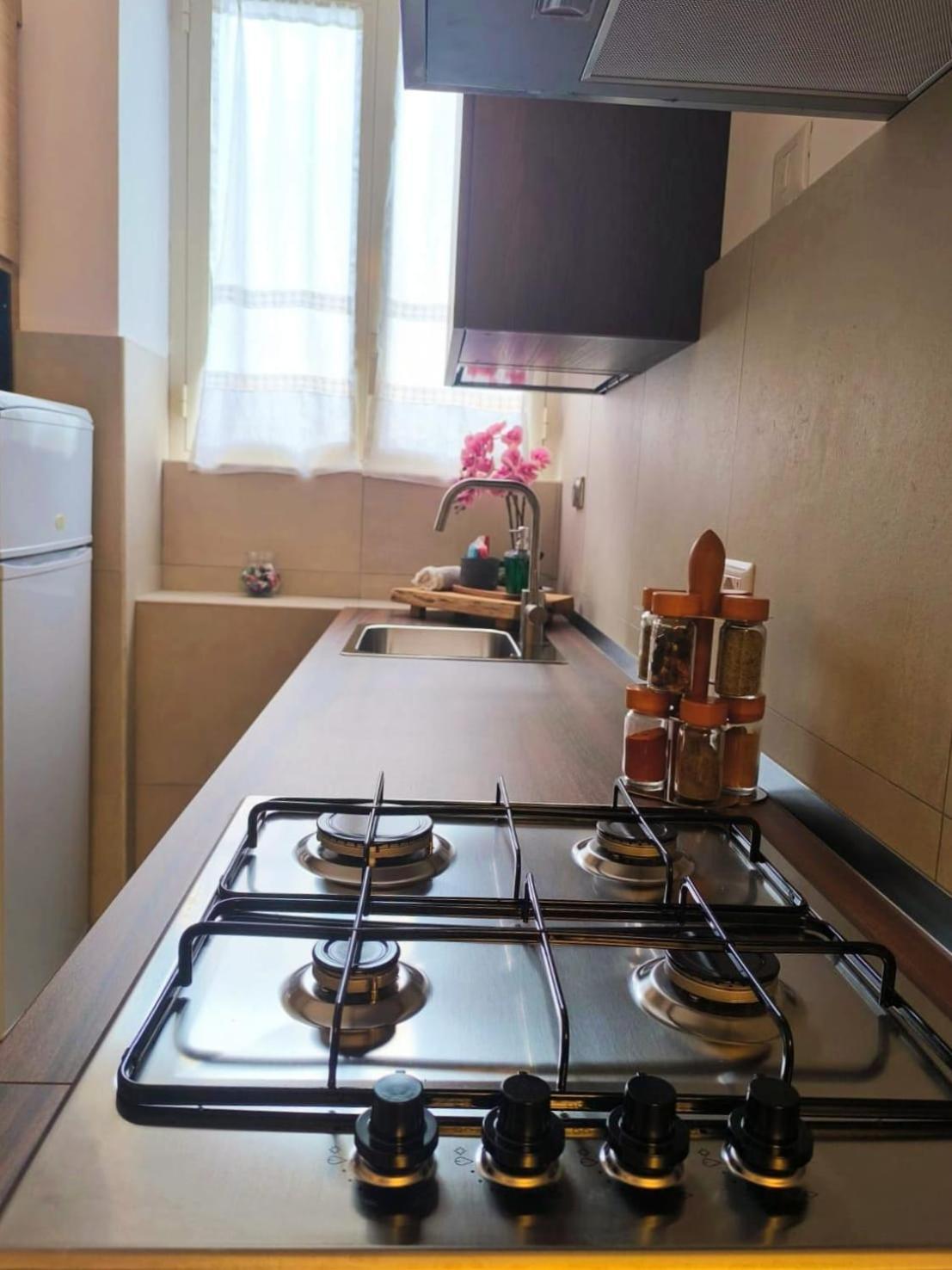 Apartamento Vintage House